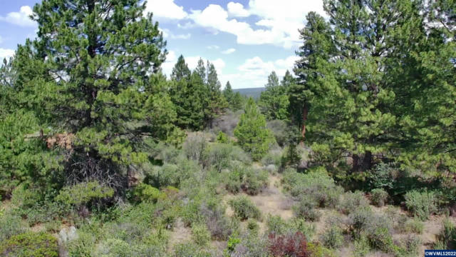 LOT 3 DAVID DR, CHILOQUIN, OR 97624, photo 3 of 11