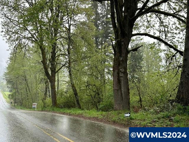 ROCK CREEK RD, MILL CITY, OR 97346, photo 1
