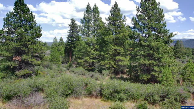 LOT 3 DAVID DR, CHILOQUIN, OR 97624, photo 4 of 11