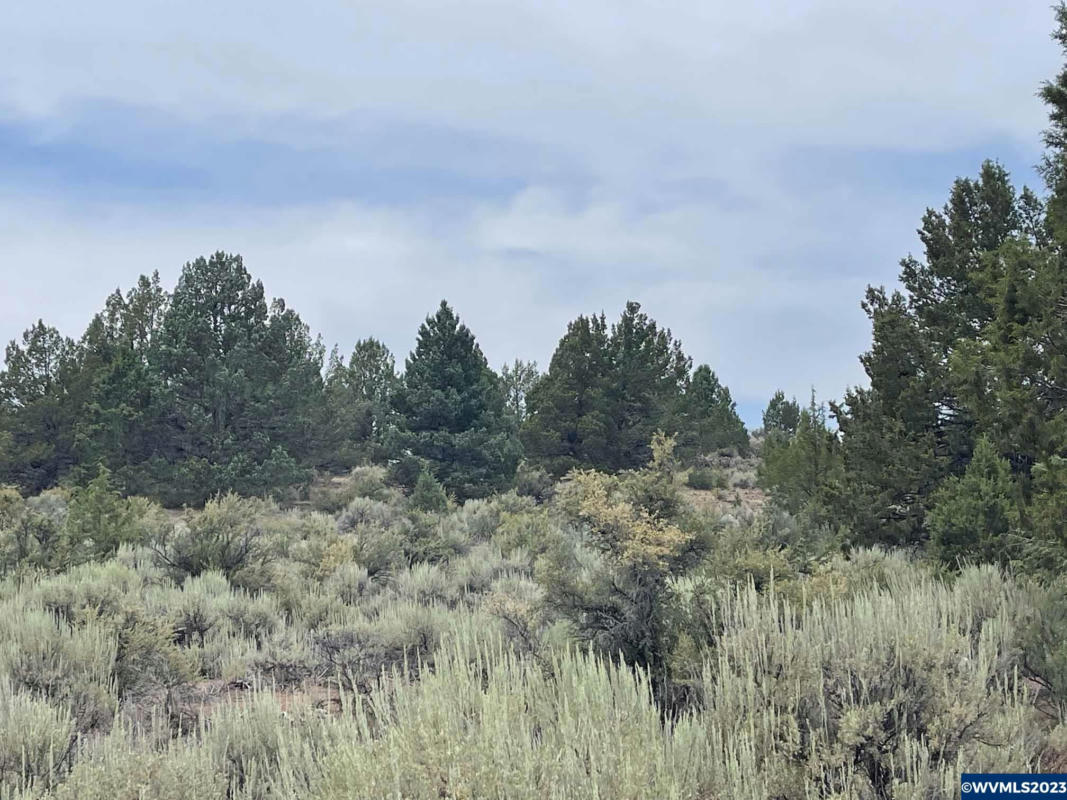 LOT 22 HARNEY ST, SPRAGUE RIVER, OR 97639, photo 1 of 15