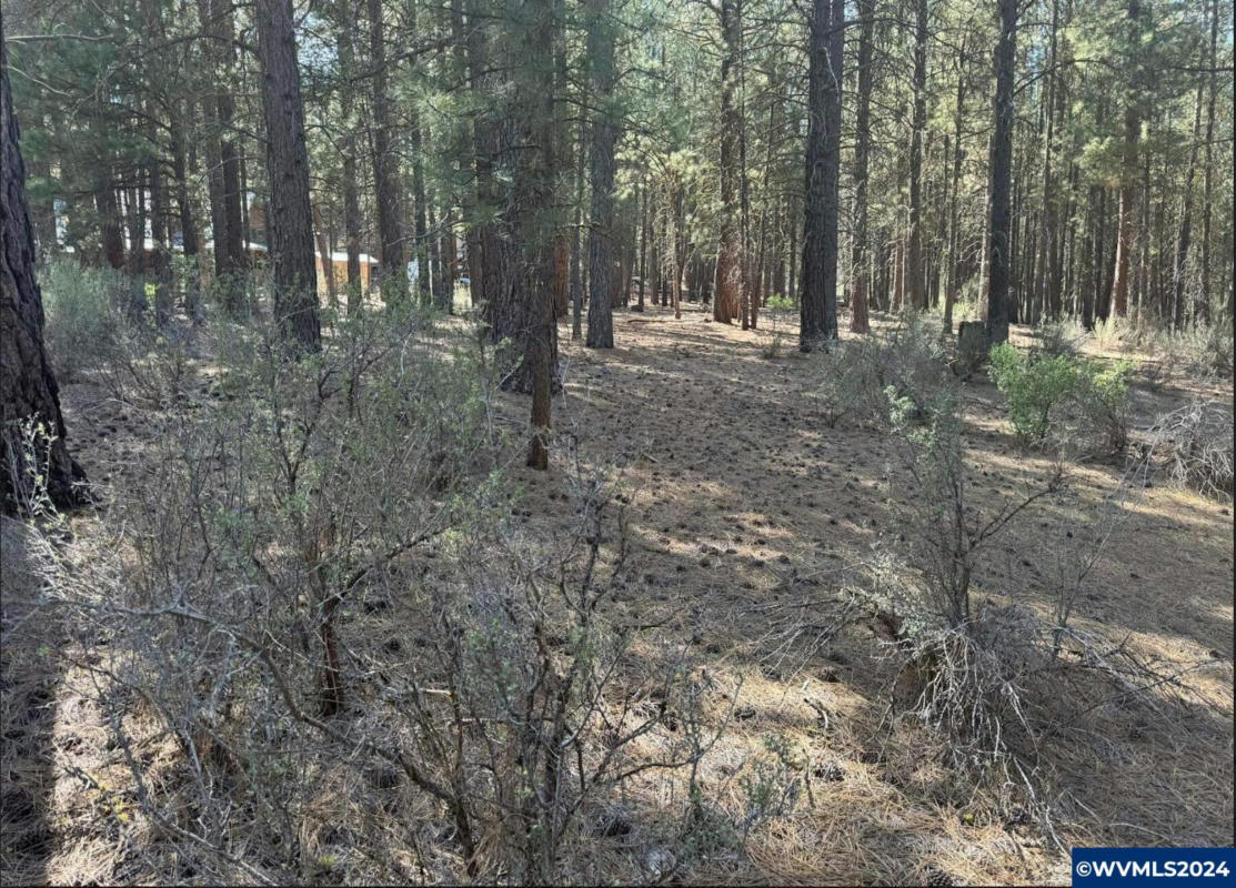 LOT 3 N WATERVIEW WY, CHILOQUIN, OR 97624, photo 1 of 8