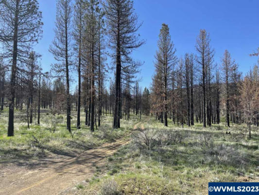 TL 01000 OFF GODOWA SPRINGS RD, BEATTY, OR 97621, photo 3 of 42